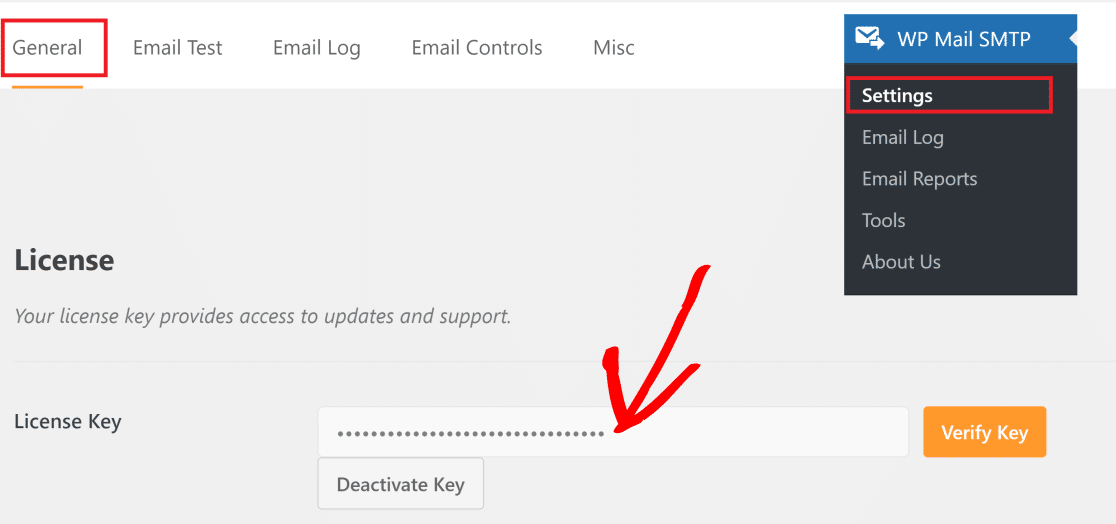 wp mail license key setting - WP Mail SMTP wp mail smtp license key setting